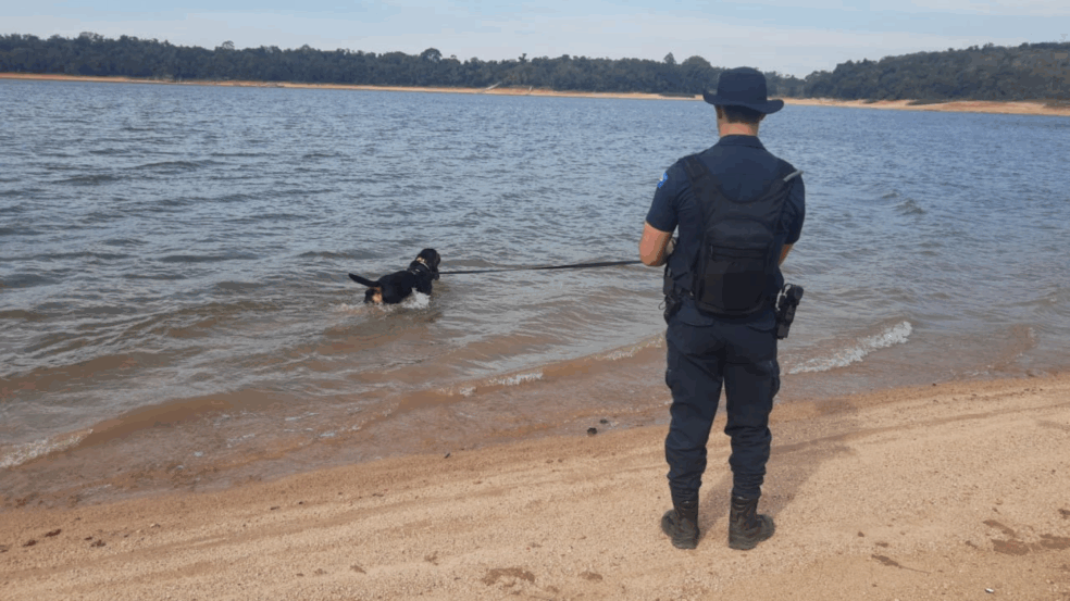 Polícia Civil tem auxilio do Cão Max para achar homem desaparecido em represa de Votorantim