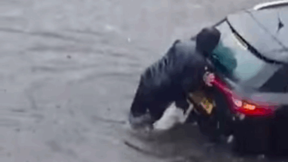 Foto: Reprodução/Redes Sociais