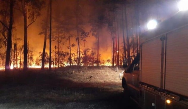 Queimada destrói árvores nativas na Serra do Japi