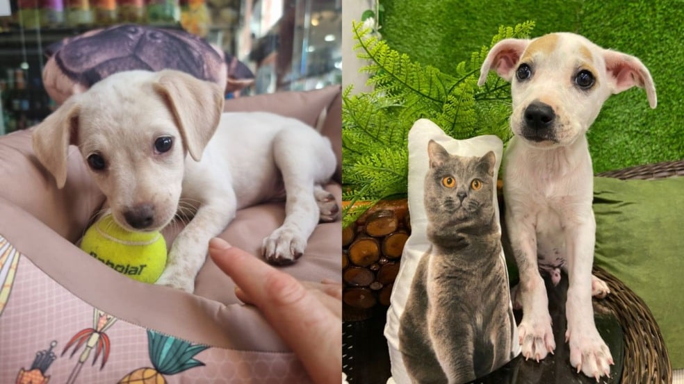 Foto: Divulgação/ Arquivo Pessoal