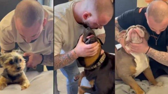 (Foto: TikTok/Reprodução)