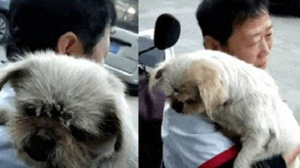 (Foto: reprodução/caesonline)