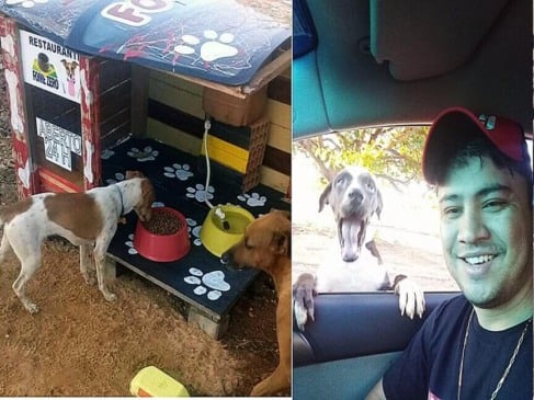 montagem de fotos, com um lado com um cachorro comendo e do outro um homem e um cachorro
