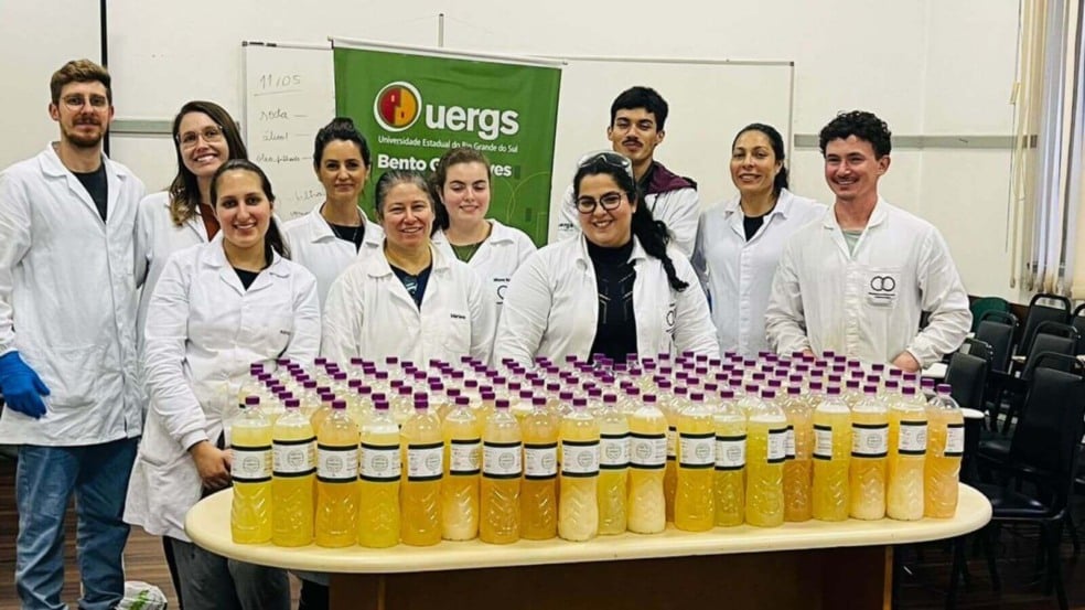 Foto: Arquivo Pessoal/Silvia Gatiboni Foto: Arquivo Pessoal/Silvia Gatiboni