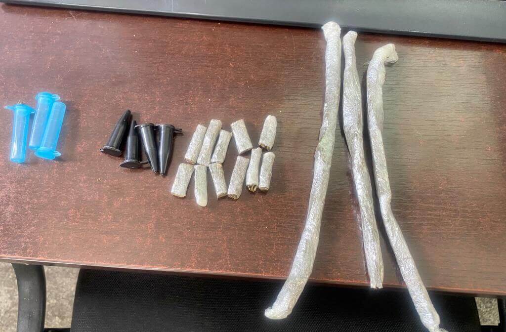 Ronda Escolar apreende pé de maconha de 2 metros em Campo Limpo Paulista