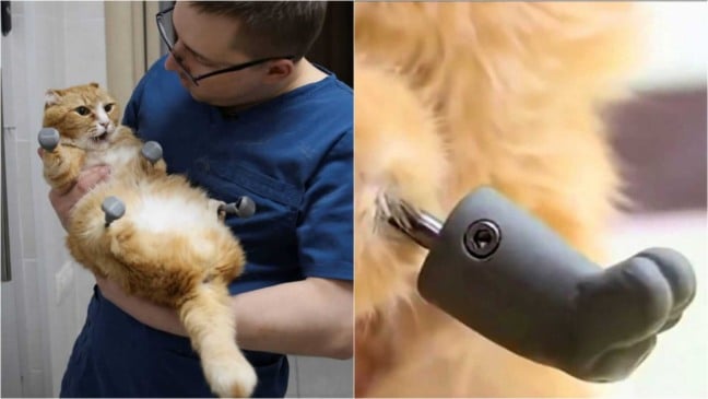 Homem segurando gato com patas biônicas