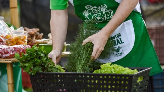 Homem com verduras em bacia
