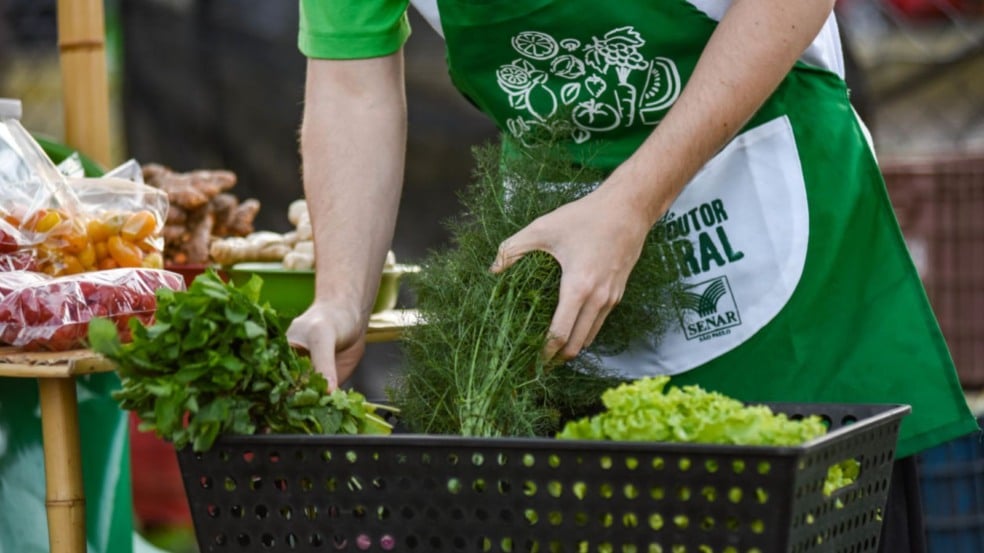 Homem com verduras em bacia