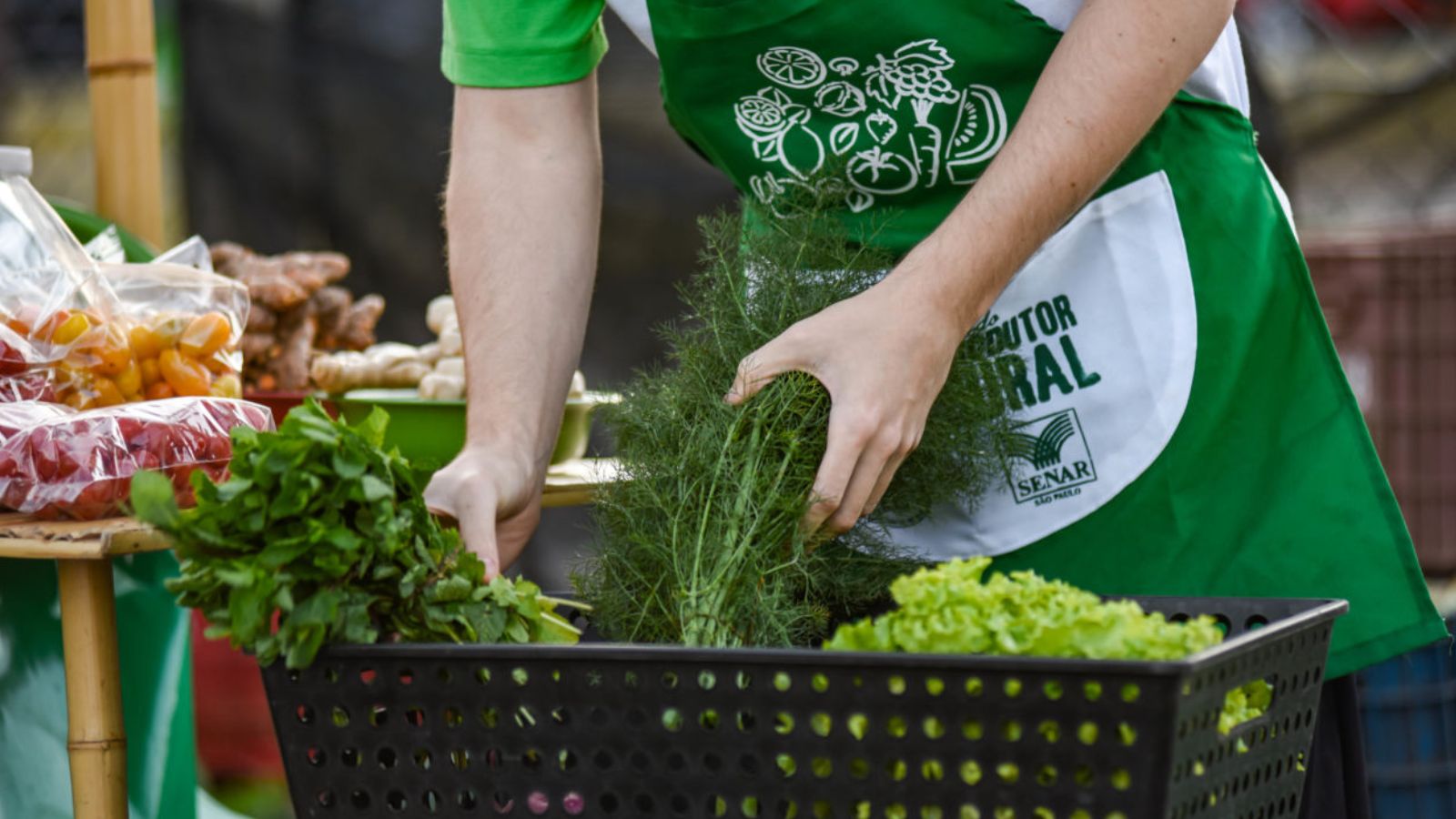 Homem com verduras em bacia