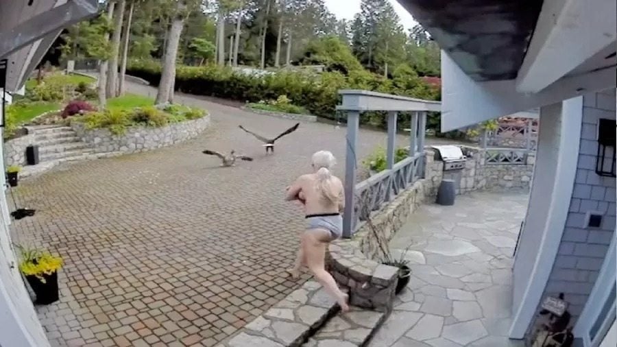 Mãe é vista seminua com o bebe nos braços enquanto salva ganso de ataque de águia. (Foto: Reprodução/TikTok)