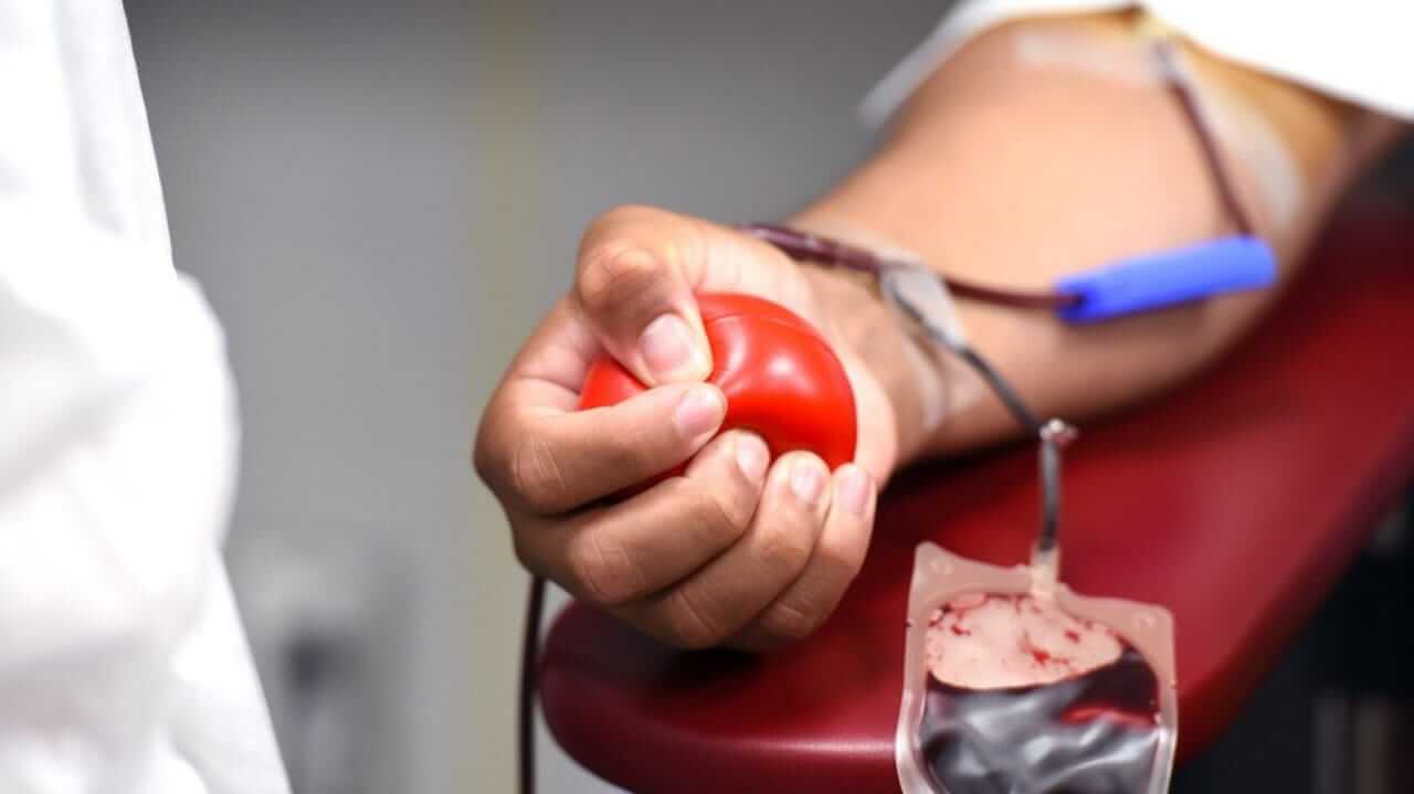 Doação de sangue/medula