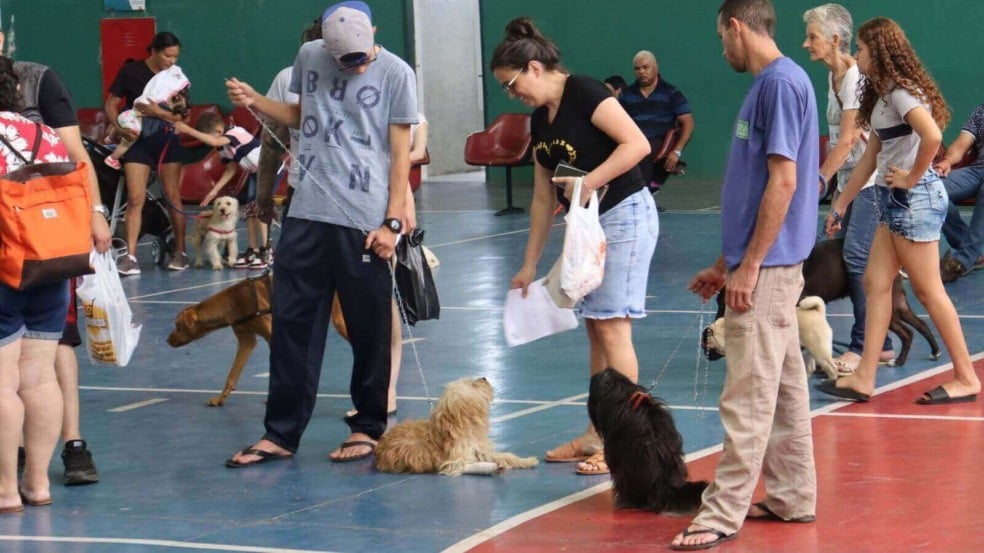 Tutores com cachorros