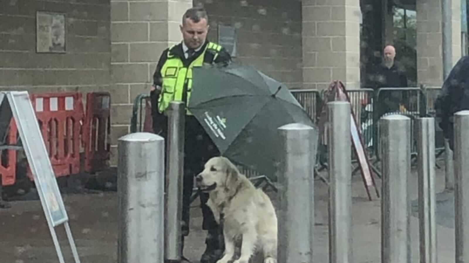 Homem protegendo cachorro da chuva
