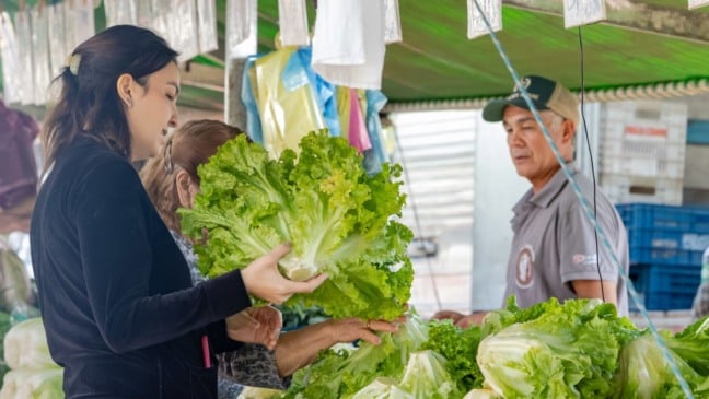 Barraca de alface; feira Jundiaí