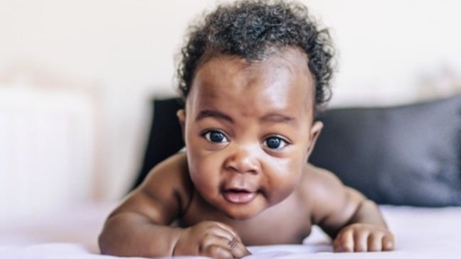 (Foto: Divulgação/Prefeitura de Campo Limpo Paulista)