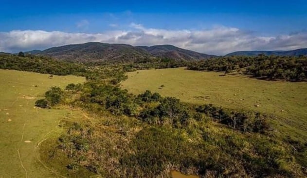 Sentir o cheiro da natureza