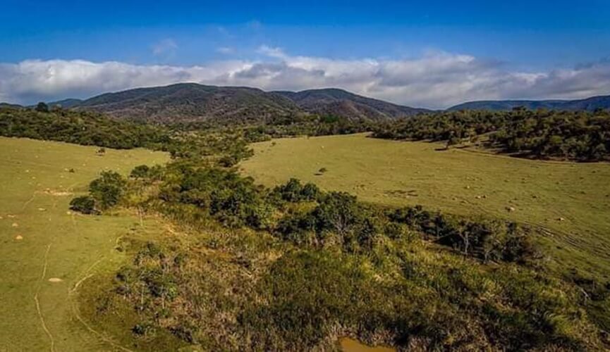 Sentir o cheiro da natureza