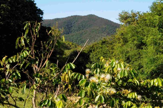 Foto: Prefeitura de Jundiaí