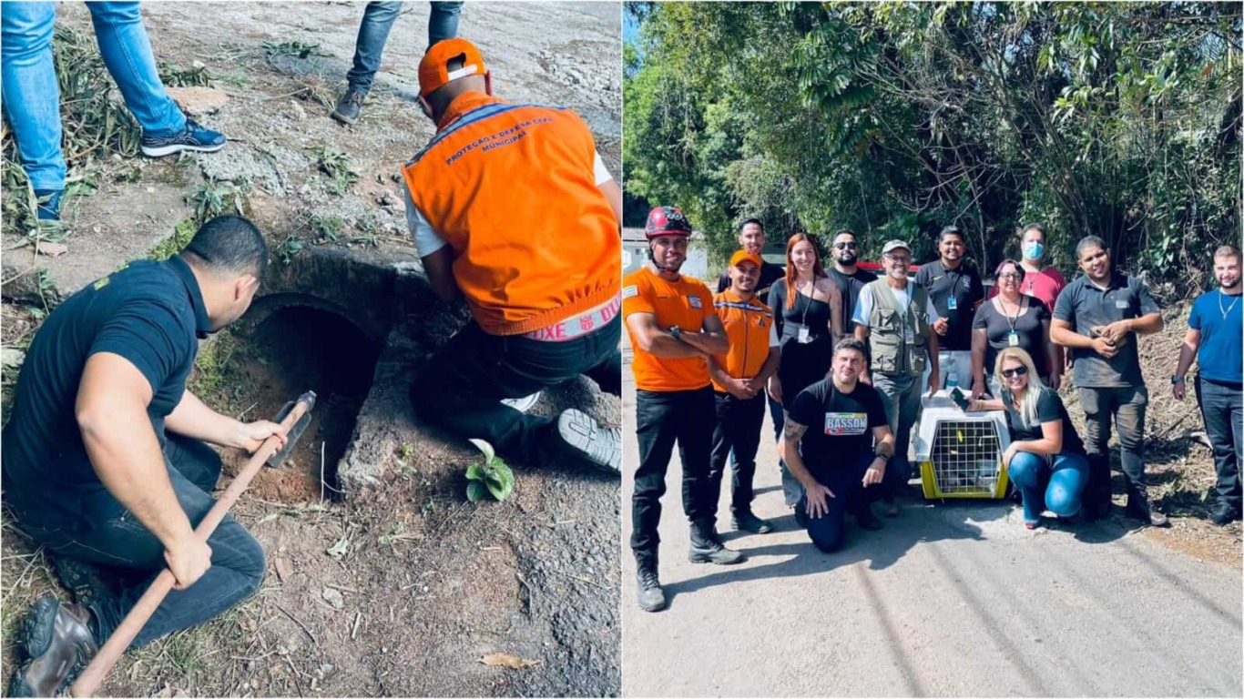 Pessoas resgatando cachorro em bueiro
