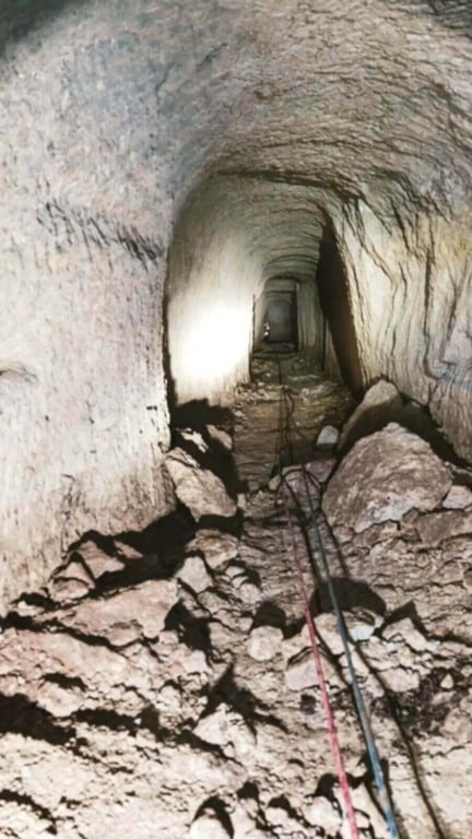 Cachorro cai em poço de 18 metros