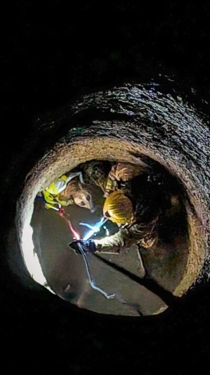 Cachorro cai em poço de 18 metros