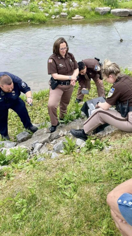Socorristas resgatam gato preso em pedras
