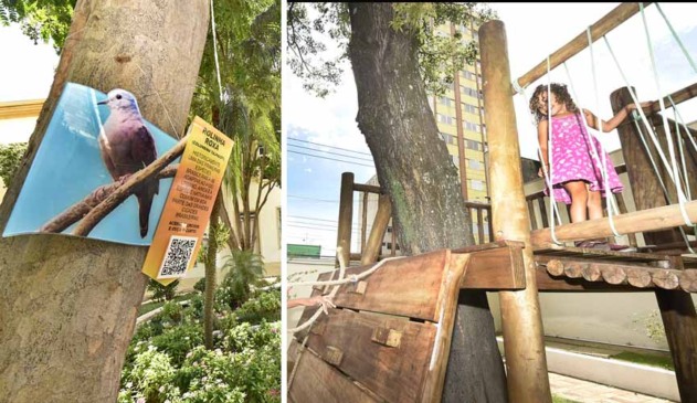 À esquerda, placa colocada em árvore identifica o pássaro rolinha roxa, com descrição e QR Code. À direita, criança em casa na árvore, uma espécie de estrutura de escalada colocada entre uma árvore
