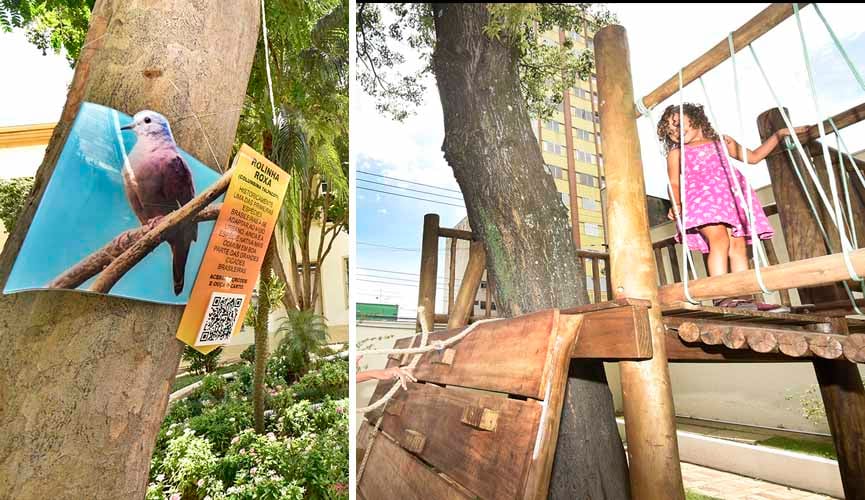 À esquerda, placa colocada em árvore identifica o pássaro rolinha roxa, com descrição e QR Code. À direita, criança em casa na árvore, uma espécie de estrutura de escalada colocada entre uma árvore
