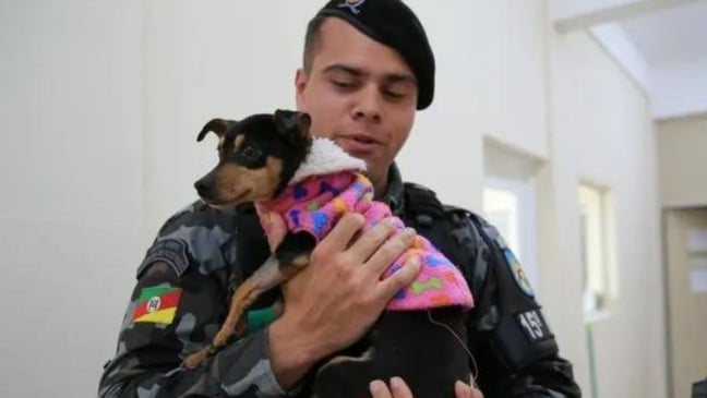 (Foto: Reprodução/Ronaldo Bernardi | Agência RBS/ Anda News)