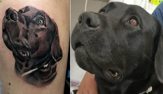 Soldado homenageia o cachorro Barney