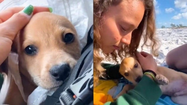 (Foto: Reprodução/TikTok - @marysurfs)