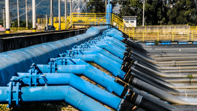 Dia do Meio Ambiente