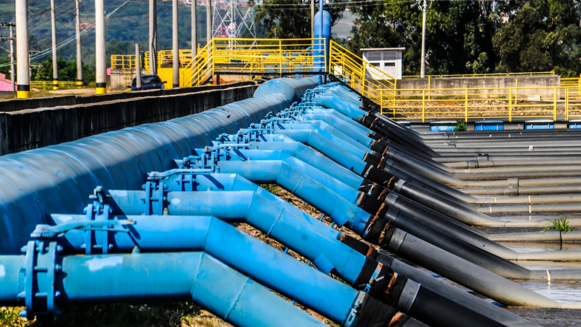 Dia do Meio Ambiente