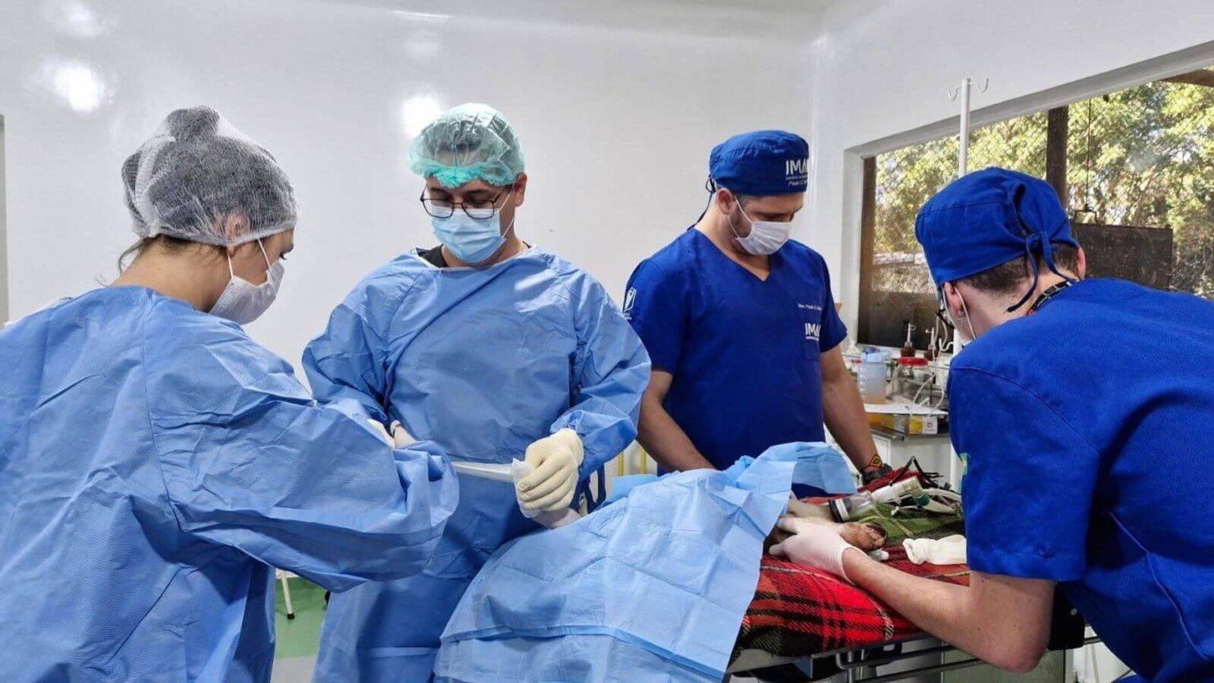 Cirurgiões durante operação de tamanduá-mirim na Mata Ciliar.
