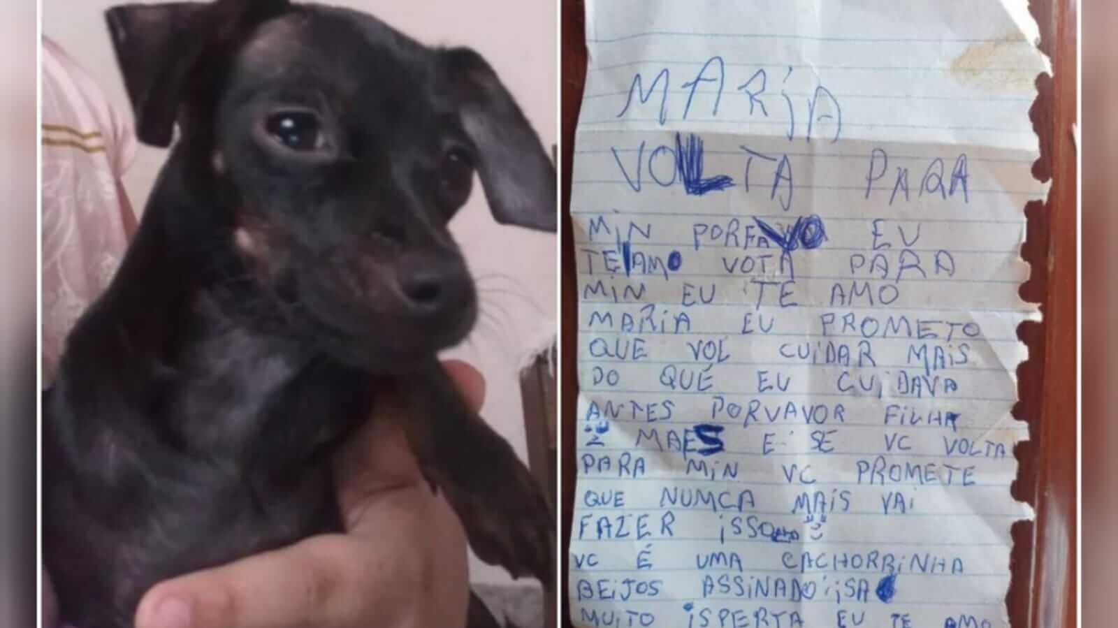 Cachorrinha desaparecida ao lado de carta