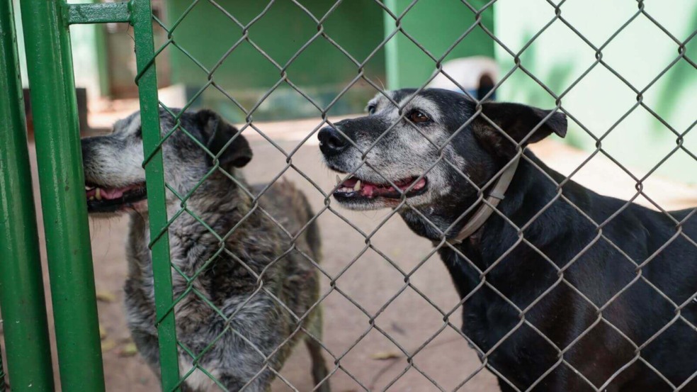 Foto: Prefeitura de Jundiaí Foto: Prefeitura de Jundiaí