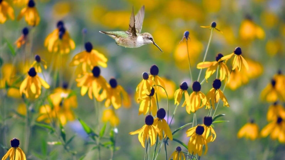 (Foto: mbolina/Canva)