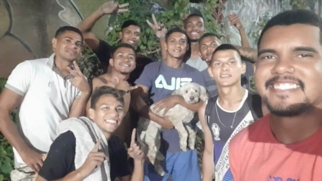 Jogadores resgatam cachorro de bueiro