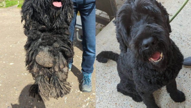 Foto: Reprodução/RSCPA