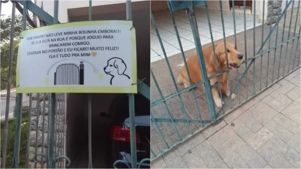 Cachorro com bolinha e placa em portão