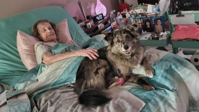 Idosa deitada com cachorro