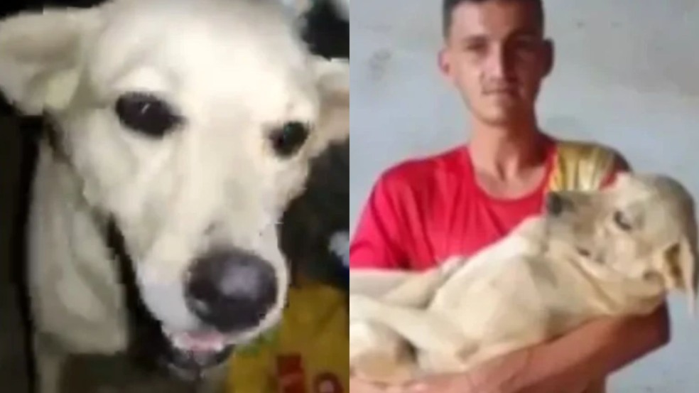Homem encontra cachorro desaparecido em bloco de carnaval