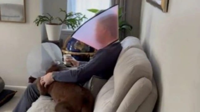 Homem e cachorro com cones no pescoço