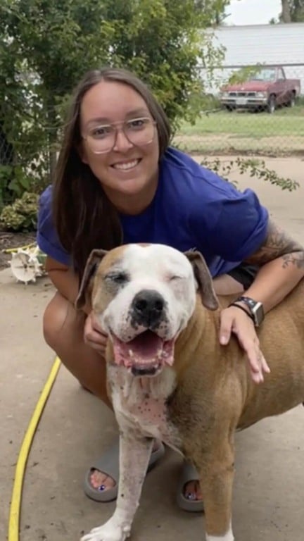 Mulher reencontra cachorro desaparecido há 7 anos