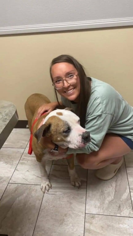 Mulher reencontra cachorro desaparecido há 7 anos