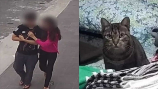 Casal com gato no colo