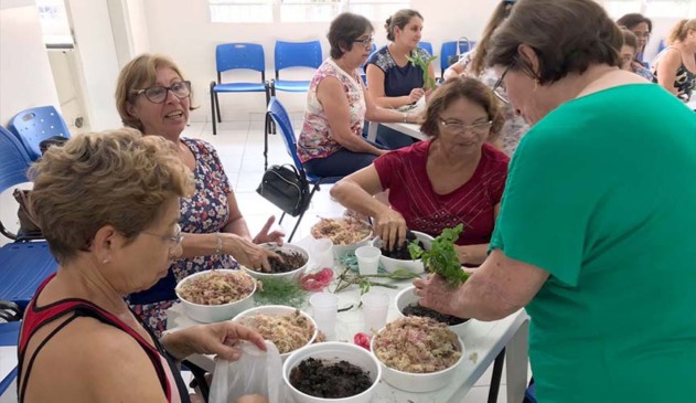 oficina ervas caxambu