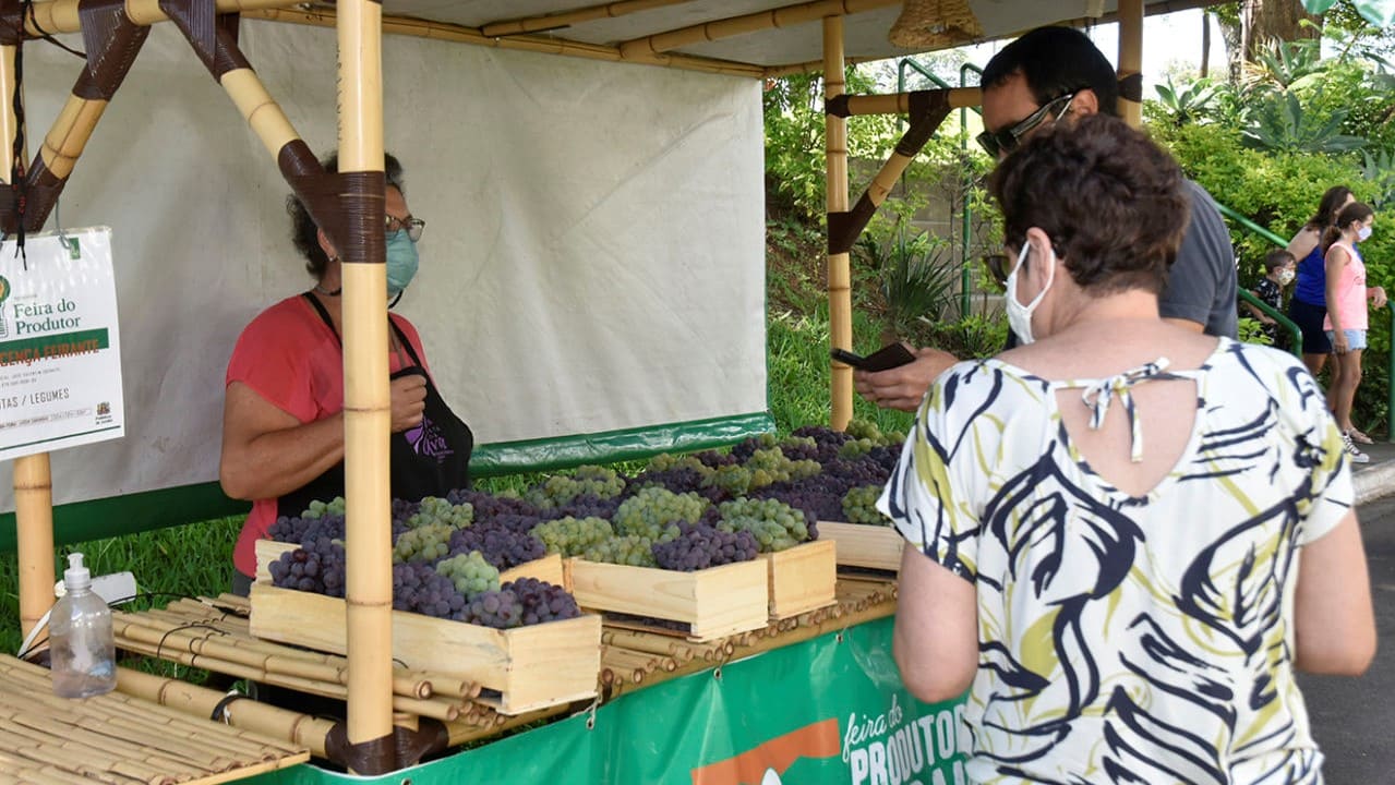 Programa Compre Direto do Produtor Rural de Jundiaí comercializa 2 toneladas de uvas no Parque da Uva