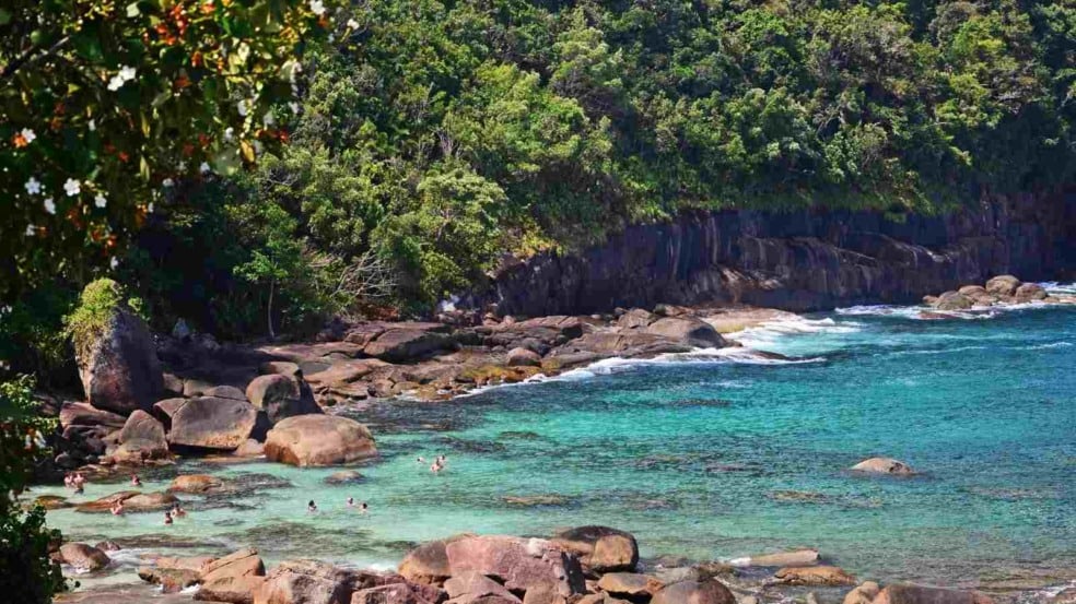 Nova taxa deverá pagar gastos de preservação ambiental (Foto: Camila1111/Canva)