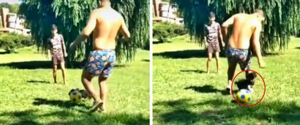 (Foto: reprodução/Portalamigocão)